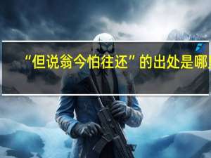 “但说翁今怕往还”的出处是哪里