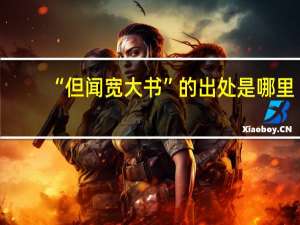“但闻宽大书”的出处是哪里