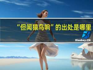 “但闻猿鸟响”的出处是哪里