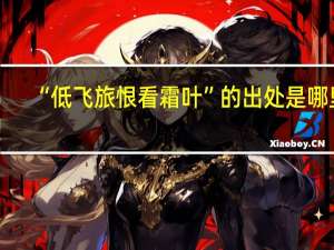 “低飞旅恨看霜叶”的出处是哪里