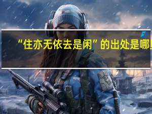 “住亦无依去是闲”的出处是哪里