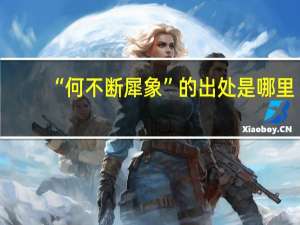 “何不断犀象”的出处是哪里