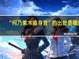“何乃紫木临身宫”的出处是哪里
