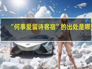 “何事爱留诗客宿”的出处是哪里