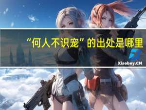 “何人不识宠”的出处是哪里