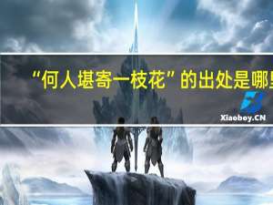 “何人堪寄一枝花”的出处是哪里