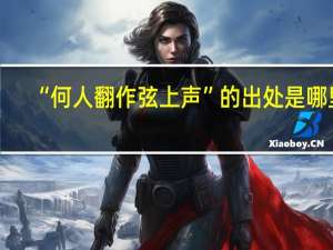 “何人翻作弦上声”的出处是哪里