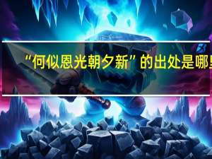 “何似恩光朝夕新”的出处是哪里