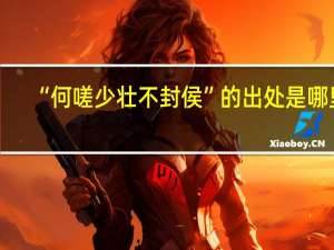 “何嗟少壮不封侯”的出处是哪里