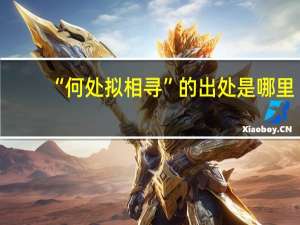 “何处拟相寻”的出处是哪里