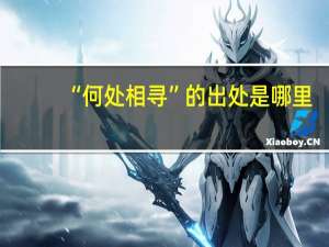 “何处相寻”的出处是哪里
