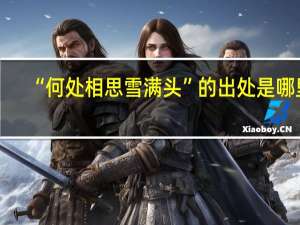 “何处相思雪满头”的出处是哪里