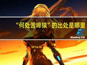 “何处苦啼猿”的出处是哪里