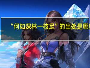 “何如深林一枝足”的出处是哪里