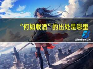 “何如载酒”的出处是哪里