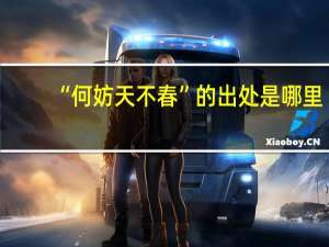“何妨天不春”的出处是哪里