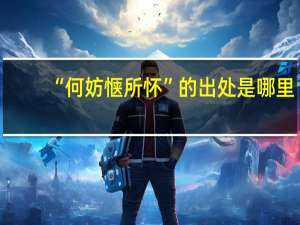 “何妨惬所怀”的出处是哪里