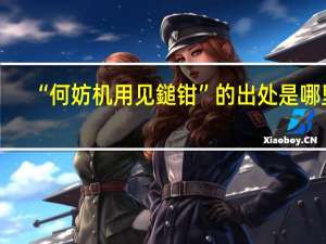 “何妨机用见鎚钳”的出处是哪里