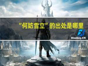 “何妨雪立”的出处是哪里
