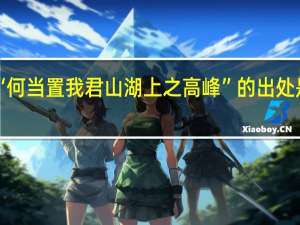 “何当置我君山湖上之高峰”的出处是哪里