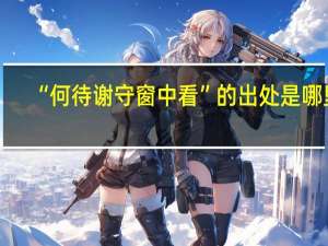 “何待谢守窗中看”的出处是哪里