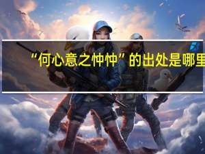 “何心意之忡忡”的出处是哪里