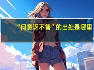 “何意讶不售”的出处是哪里