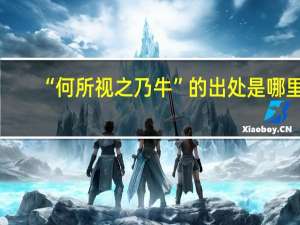 “何所视之乃牛”的出处是哪里