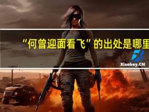 “何曾迎面看飞”的出处是哪里