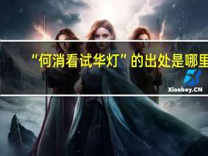 “何消看试华灯”的出处是哪里
