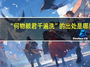 “何物赖君千遍洗”的出处是哪里