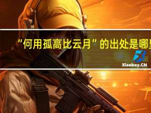 “何用孤高比云月”的出处是哪里