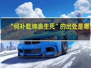 “何补乾坤浪生死”的出处是哪里
