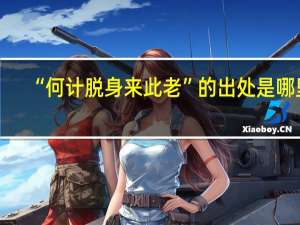 “何计脱身来此老”的出处是哪里