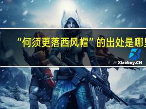 “何须更落西风帽”的出处是哪里