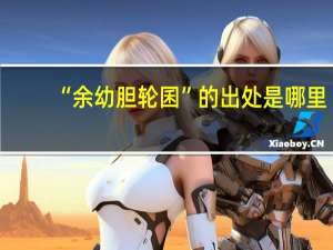 “余幼胆轮囷”的出处是哪里