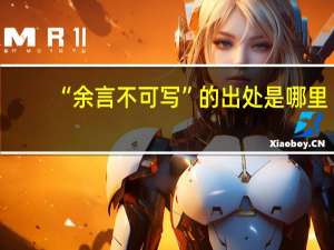 “余言不可写”的出处是哪里