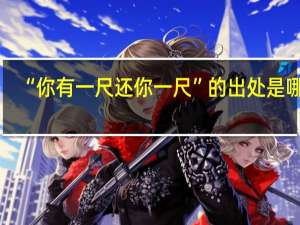 “你有一尺还你一尺”的出处是哪里