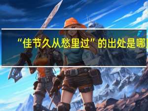 “佳节久从愁里过”的出处是哪里