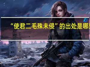 “使君二毛殊未侵”的出处是哪里
