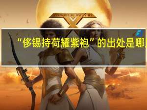 “侈锡持荷耀紫袍”的出处是哪里