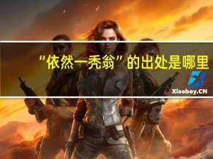 “依然一秃翁”的出处是哪里