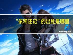 “依稀还记”的出处是哪里