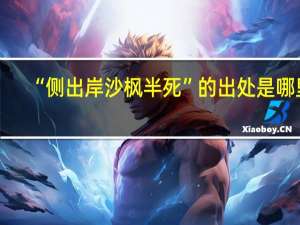 “侧出岸沙枫半死”的出处是哪里