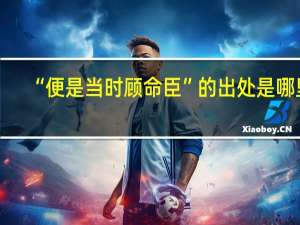 “便是當時顧命臣”的出處是哪里