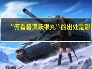 “俯看碧浪跃银丸”的出处是哪里