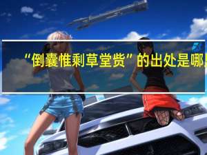 “倒囊惟剩草堂赀”的出处是哪里