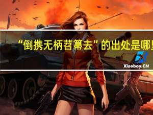 “倒携无柄苕箒去”的出处是哪里