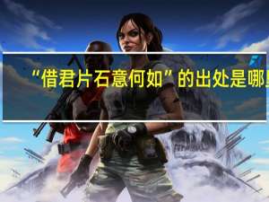 “借君片石意何如”的出处是哪里