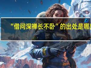 “借问深禅长不卧”的出处是哪里